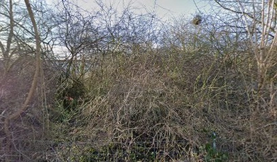 Psychosomatischen Kliniken in Teltow 2 Prof.Dr.med. Michael Linden Reha-Zentrum Seehof Abt.Psychosomatik